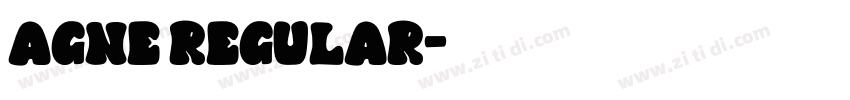 Agne Regular字体转换